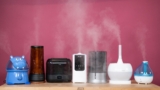 Top 10 Best Humidifiers 2025