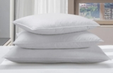 Top 10 Best Pillows 2025